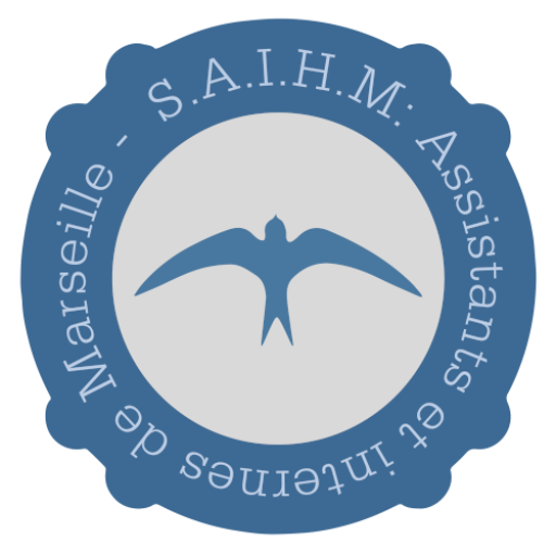 Logo SAIHM